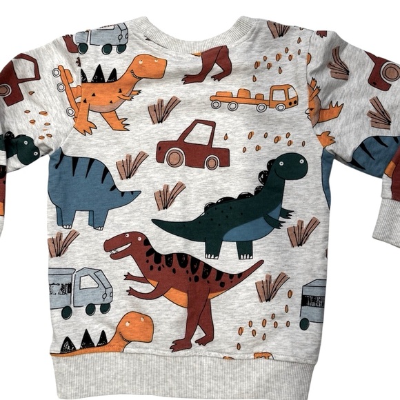 Toddler Boys Long Sleeve Dino & Animal Sweatshirt Bundle 5T - Picture 4 of 11